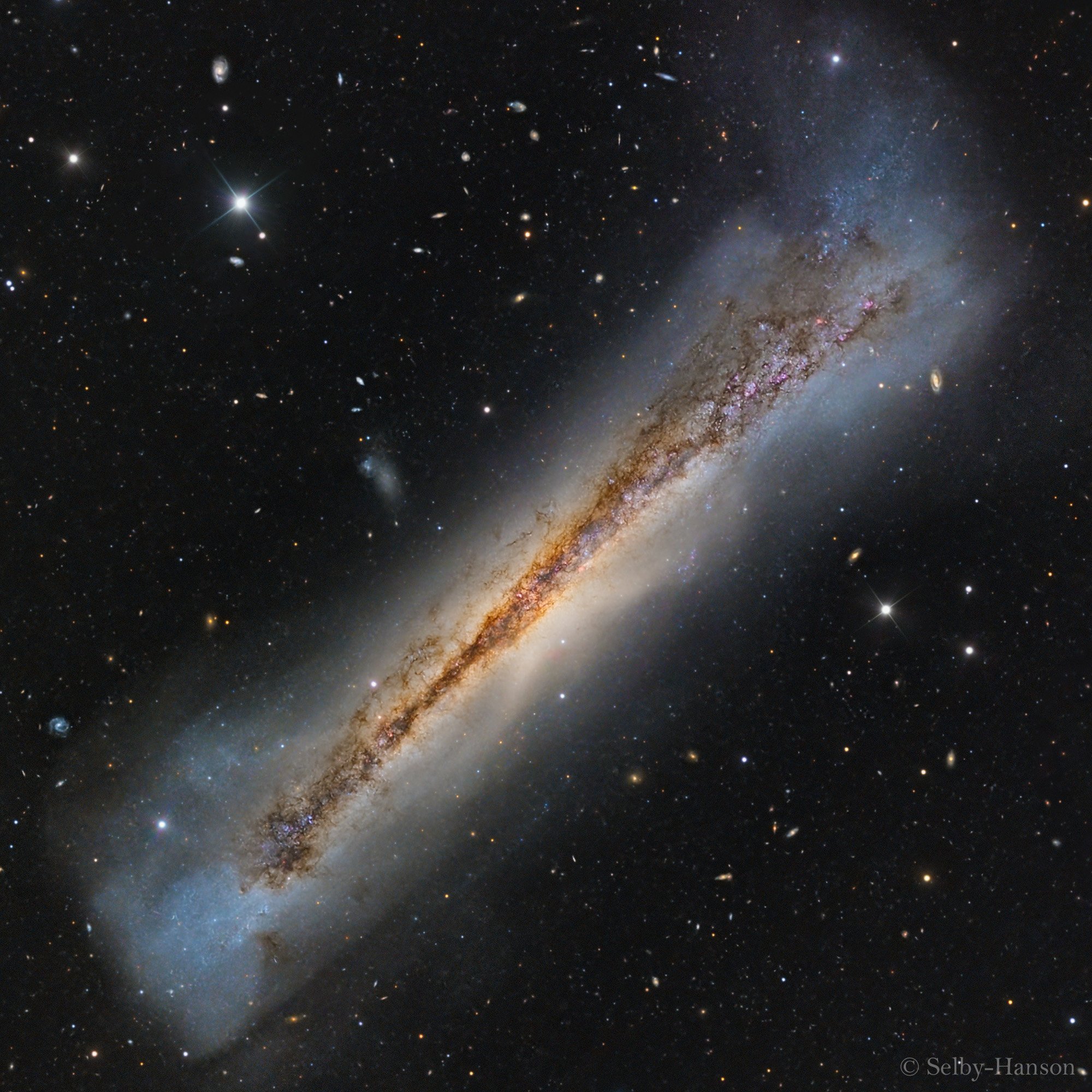 Hanson Astrophotography-NGC 3628 CDK 1000